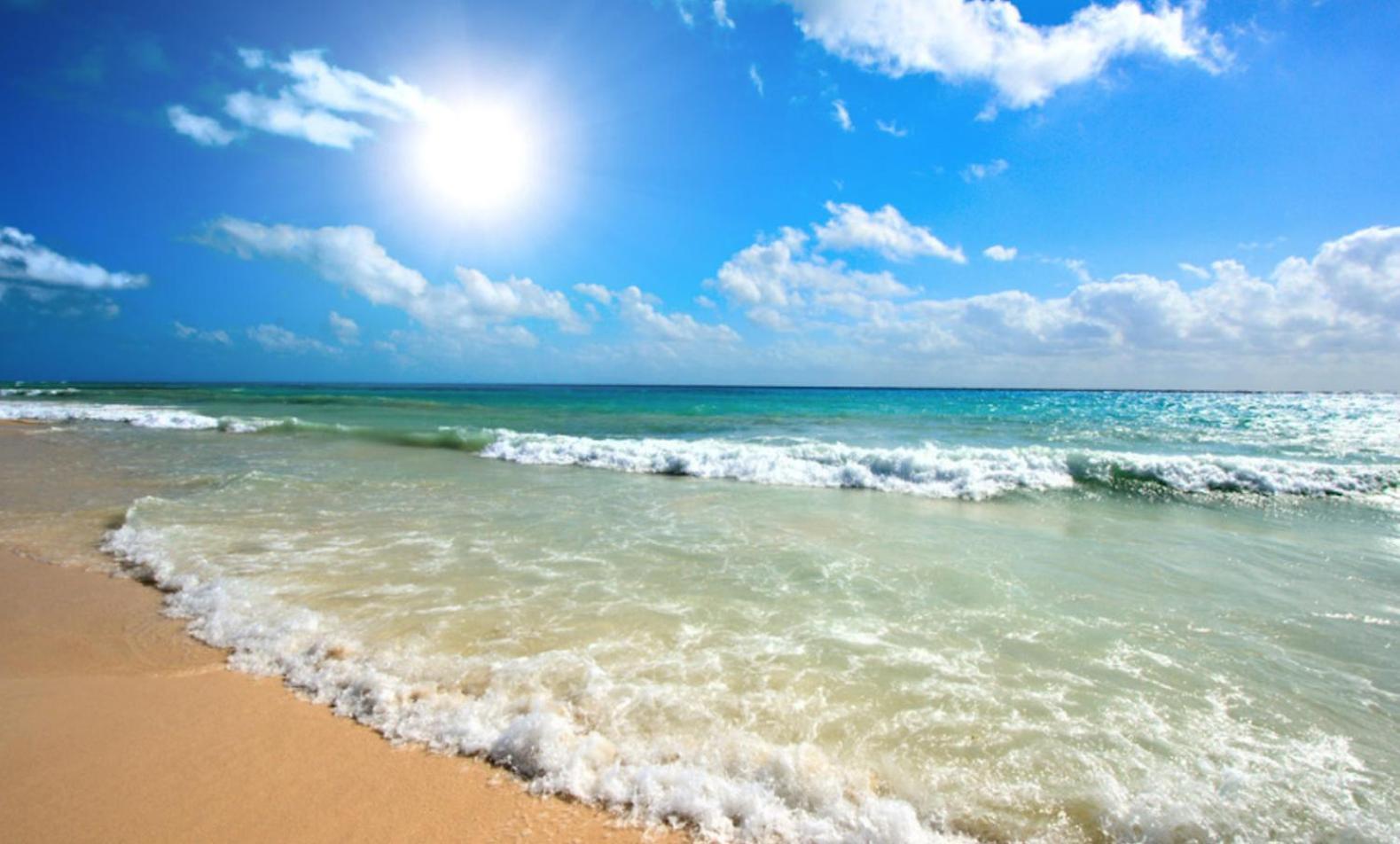 Sunny Beach Plaza 17 Apartment Bagian luar foto